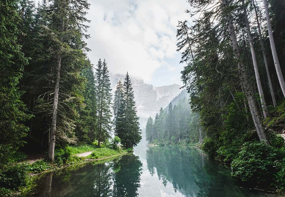 A serene landscape featuring a calm body of water surrounded by tall evergreen trees, with misty mountains in the background under a cloudy sky.
